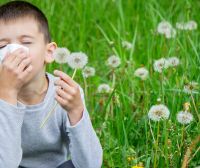 Alergije Domžale – pomoč in zdravila v Lekarni Vir, Čufarjeva 23, 1230 Domžale, farmacevtski nasveti za alergije